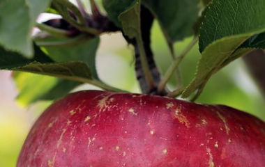 开云(中国)kaiyun体育网址-登录入口