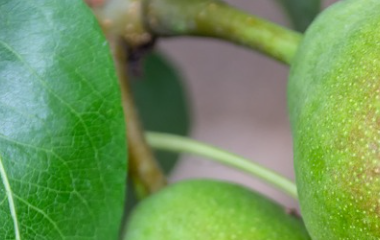 开云(中国)kaiyun体育网址-登录入口