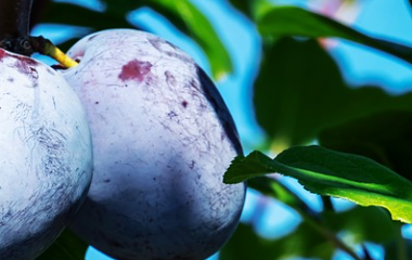 开云(中国)kaiyun体育网址-登录入口