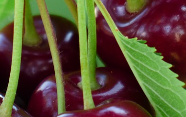 开云(中国)kaiyun体育网址-登录入口